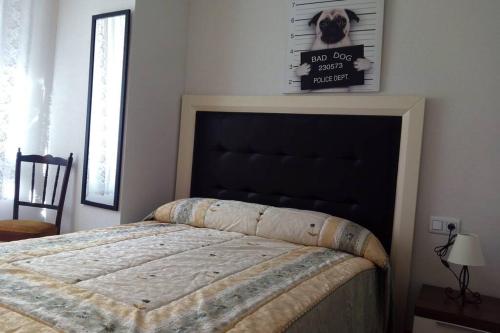a bedroom with a bed with a black head board at APARTAMENTO CONGRESO in Logroño