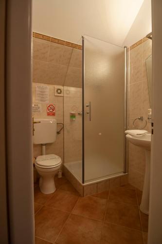 a bathroom with a shower and a toilet and a sink at Casa din Parc in Covasna