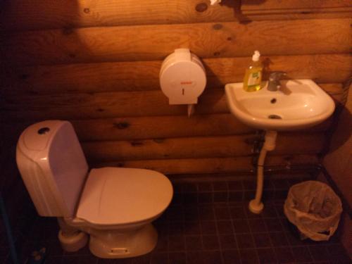 a bathroom with a toilet and a sink at Kakulaane Tourism Farm in Lauküla
