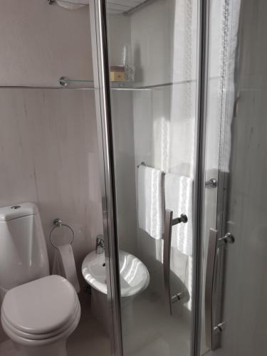 a white bathroom with a toilet and a shower at Corte Degli Estensi in Formigine