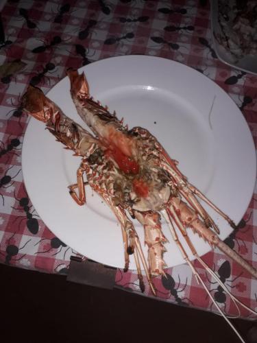 a crab on a white plate on a table at Magharibi House in Nungwi