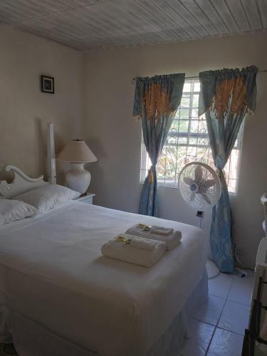 クライストチャーチにあるSue's Homestayの大きな白いベッドと窓のある寝室