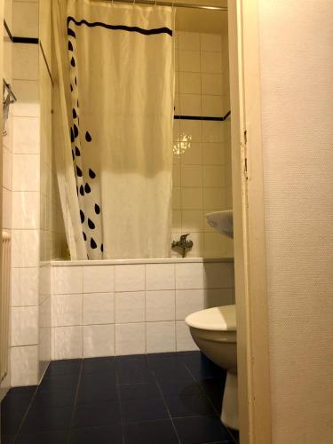 a bathroom with a shower curtain and a toilet at The Paquis Oasis in Central Geneva in Geneva
