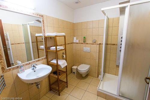 een badkamer met een wastafel, een toilet en een douche bij Balázs Szálló in Gyula