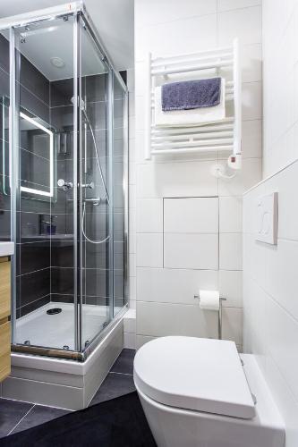 une salle de bain avec une douche en verre et des toilettes dans l'établissement D&E - PARIS-DISNEY - HOLIDAYS APARTMENT - APPARTEMENT DE VACANCES - 5 CHAMBRES- 5 SDB - 5 BEDROOMS - 5 BATHROOMS - Netflix, à Champs-sur-Marne