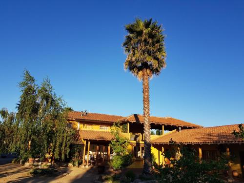 a palm tree in front of a building at Hotel Posada Colchagua in Santa Cruz