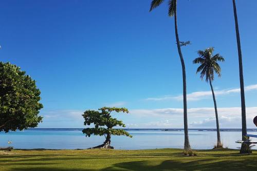 a view of the ocean from a beach with palm trees at Villa Tiarenui in Maharepa