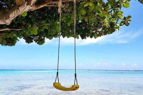 a swing hanging from a tree on the beach at Villa Tiarenui in Maharepa