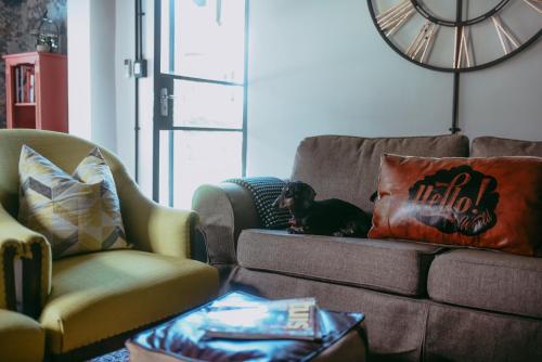 a dog laying on a couch in a living room at Timeless Bloemfontein in Bloemfontein