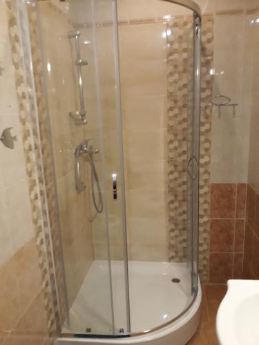 a shower with a glass door in a bathroom at Town Center Studio Apartment in Daugavpils