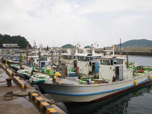 a group of boats are docked in the water at Suzunami in Toba