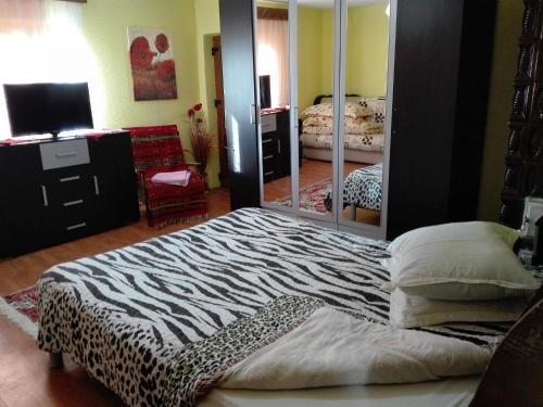 a bedroom with a large mirror and a bed at Casa Emilia in Baia de Fier