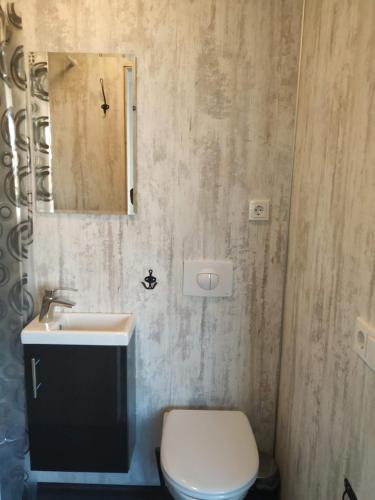 a bathroom with a sink and a toilet and a mirror at Ofanleiti Cottages in Vestmannaeyjar