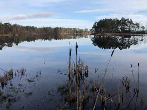 Gallery image of Naturskönt boende vid Sjö in Skånes Fagerhult