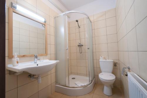 グニェズノにあるHotel Nestのバスルーム(洗面台、トイレ、シャワー付)