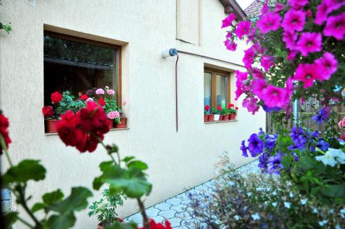 two windows with flowers on the side of a building at Casa Maria in Gura Humorului