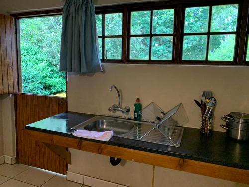 - une cuisine avec évier et comptoir avec fenêtres dans l'établissement Whinstone Farm, à Greytown