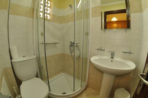 a bathroom with a shower and a toilet and a sink at Corfu Studios Stavroula - San George Apartments in Agios Georgios Pagon