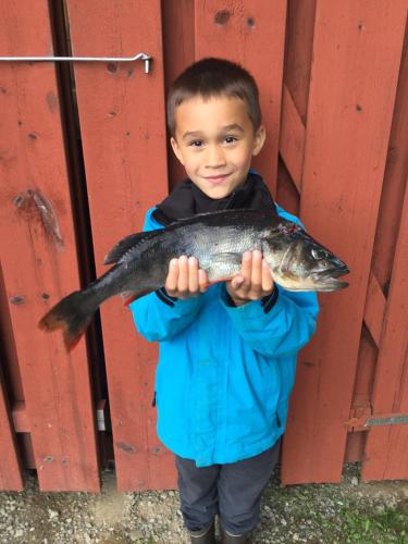 a young boy holding a fish in his hands at Timjan Forest Resort in Nydala