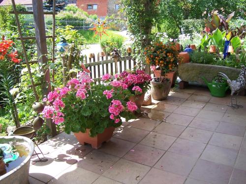 a garden with potted plants and flowers on a patio at Haus Schmid in Innernzell