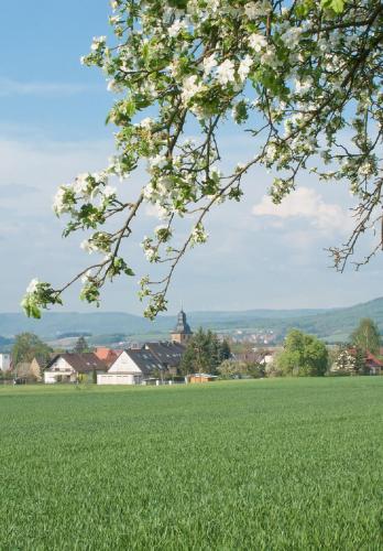 a field of green grass with a town in the background at Annas Gästehaus in Hallerndorf