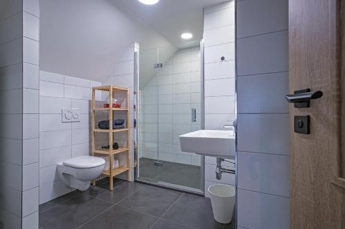 a bathroom with a toilet and a sink at Ruprecht Apartment in Vrchlabí
