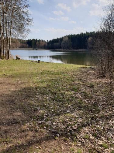 a grassy field with a body of water at Fuchsbaude in Allrode
