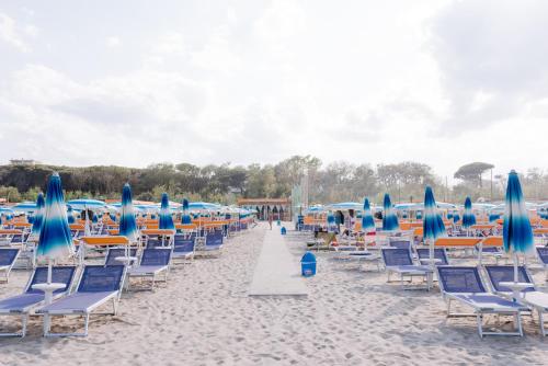 a bunch of chairs and umbrellas on a beach at Hotel Bassetti in Cervia