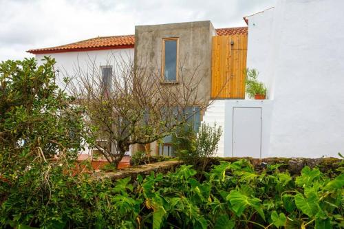 a white house with a tree in front of it at Casa das Artes in Serreta