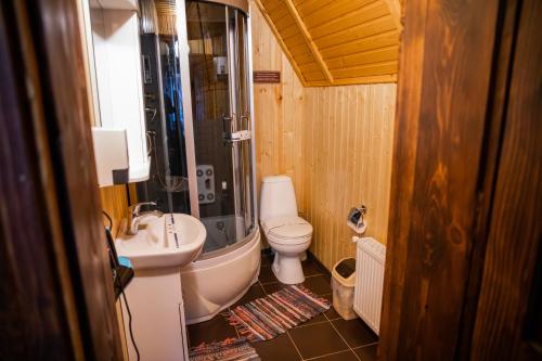 a bathroom with a sink and a toilet and a sink at Karpaty Migovo in Migovo