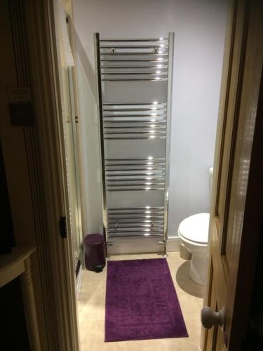 a bathroom with a toilet and a purple rug at Lowther House in Pickering