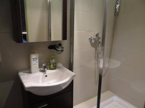 a bathroom with a sink and a shower at B&B Le bruissement in Bièvre