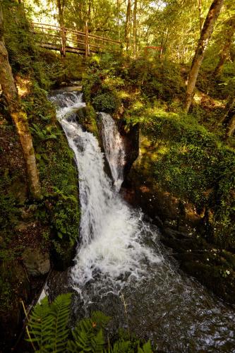 a waterfall in the middle of a forest at Haus zur Sonne in Bad Bertrich