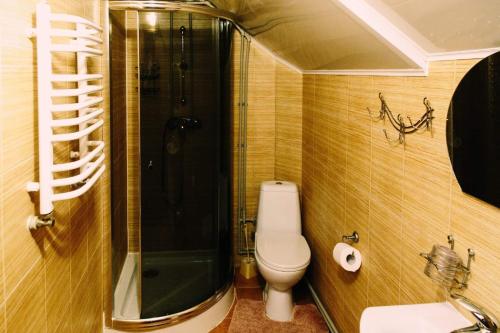 e bagno con servizi igienici, doccia e lavandino. di Бойківчанка a Jaremče
