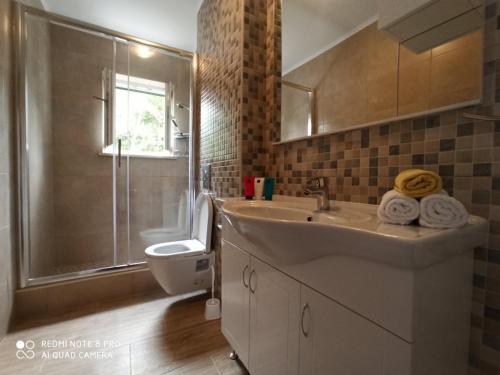 a bathroom with a sink and a toilet and a shower at Villa Leen Dubrovnik in Ðurinići