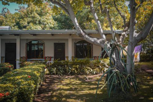 Galeriebild der Unterkunft Hotel Marielos in Tamarindo