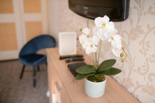 A television and/or entertainment centre at Lujzi apartman