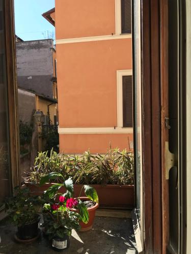 ROOM for rent IN AN ANCIENT PALACE IN ROME TRASTEVERE
