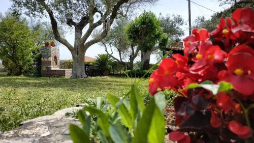 a garden with red flowers in a yard at Feggaropetra by the Sea(Moonstone) - Trani Ammouda in Ormos Panagias
