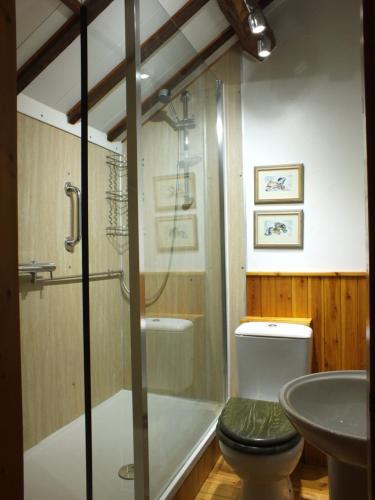 a bathroom with a shower and a toilet and a sink at Bank Farm Cottages in Nantwich