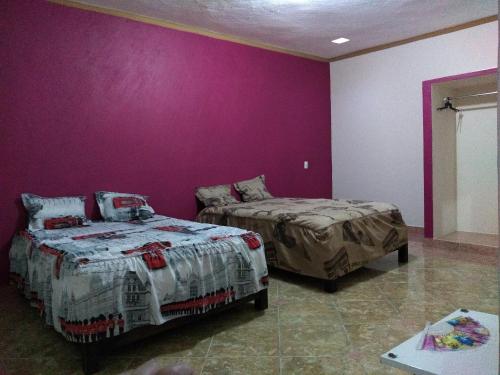 1 Schlafzimmer mit 2 Betten und einer lila Wand in der Unterkunft Casa GoEs in Comitán de Domínguez
