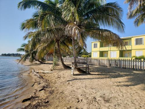 a beach with two palm trees and a yellow building at Pal's on the beach - Dangriga, Belize in Dangriga