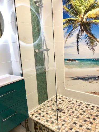 La salle de bains est pourvue d'une douche et offre une vue sur la plage. dans l'établissement Barcaresa-MAISONNETTE VUE MER PIEDS DANS L'EAU WIFI, à Port-Leucate