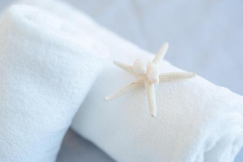 a pair of starfish sitting on top of a towel at Vento di mare in Procida