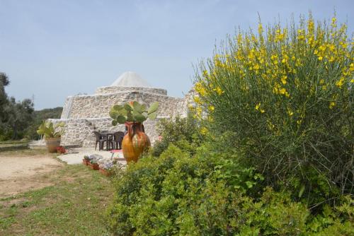 Foto TRULLO Minuetto 5