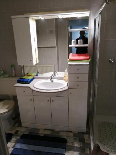 a bathroom with a sink and a toilet and a mirror at Apartment Regina in Laucha