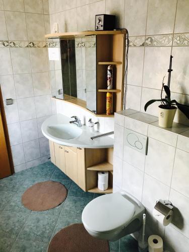 a bathroom with a toilet and a sink at Großes Ferienzimmer Uckermark in Casekow