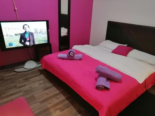 ヘルツェグ・ノヴィにあるApartmani Mのギャラリーの写真