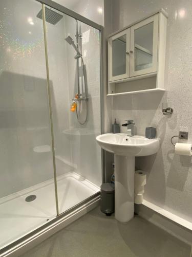 贝塞斯达River bank apartment的白色的浴室设有水槽和淋浴。