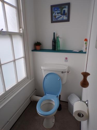 a bathroom with a toilet with a blue seat at Hull Trinity Backpackers in Hull
